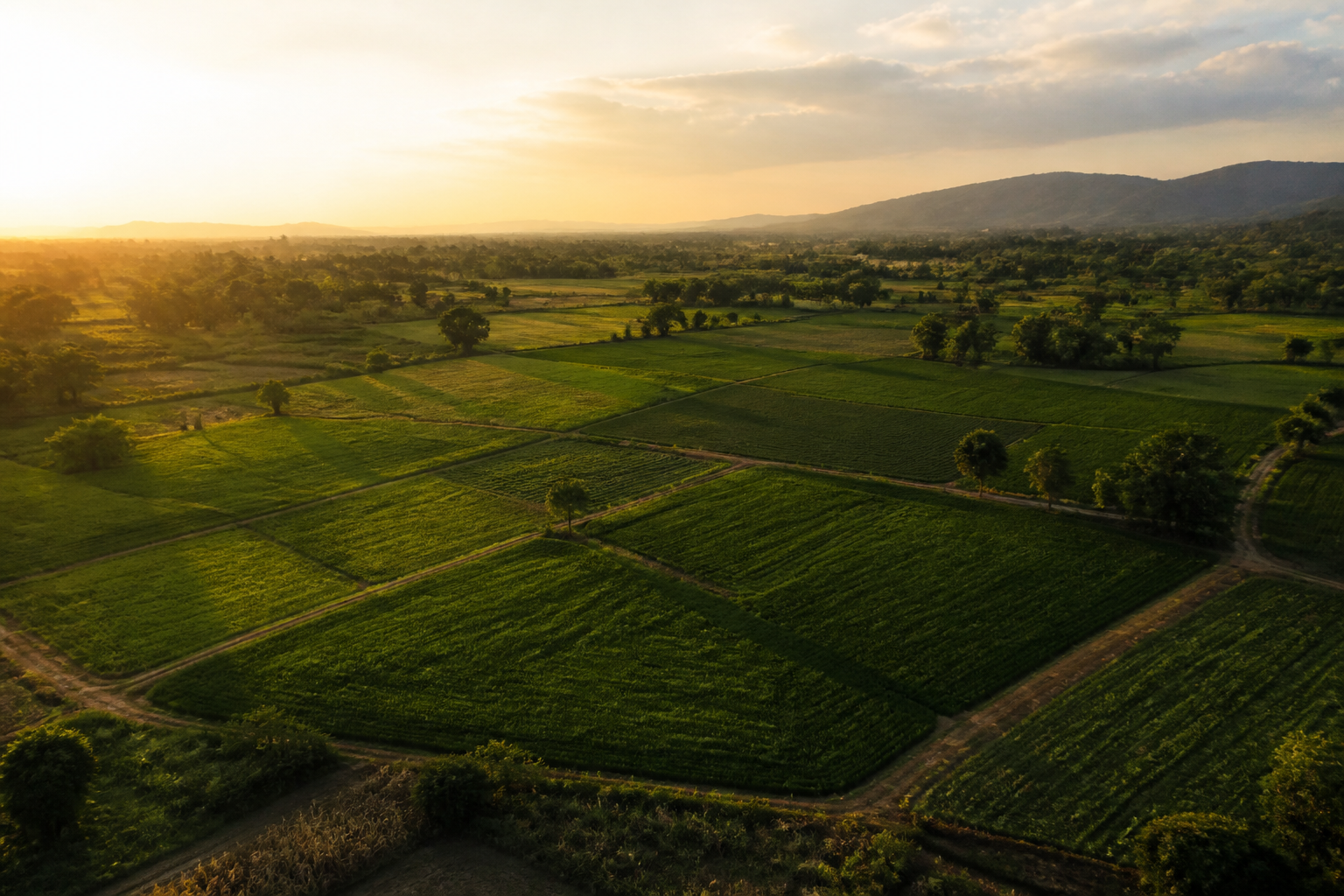 Open land parcels and green fields under warm evening light